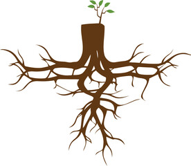 Tree png graphic clipart design