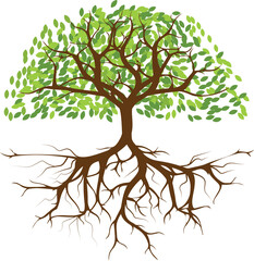 Tree png graphic clipart design