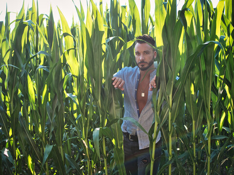 Man standing in corn field with green leaves