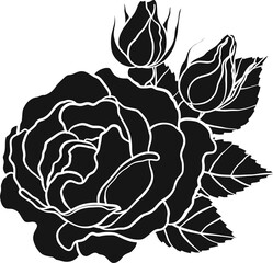 Blaze rose png.Beautiful flower on transparent background.