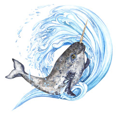  Composition of arctic narwhal on the background of a blue wave with splashes. Watercolor illustration isolated on transparent background. © Marina