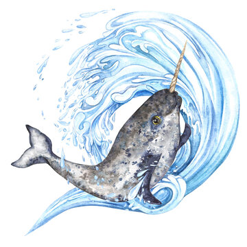 recommend clip art:  Composition of arctic narwhal on the background of a blue wave with splashes. Watercolor illustration isolated on transparent background.