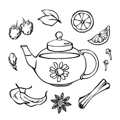 Monochrome linear doodle illustration set of glass tea pot and herbal tea ingredients