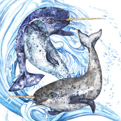 Watercolor illustration composition Narwhals on the wave © Marina