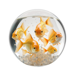 cute fish in glass ball, isolated on transparent background cutout, generative ai.