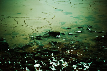 The rocky shore of the freezing swamp is covered with snow. Frosts and small ice floes on green water. Environmental pollution.