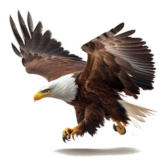 bald eagle in flight on a white background. generative AI