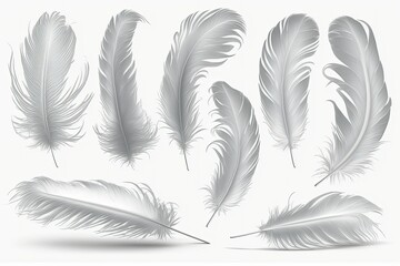 set of feathers , ai generated