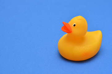 yellow rubber duck on a blue background, copy space