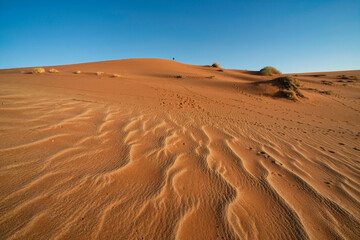 Fototapeta na wymiar Sand waves on the dunes of Namibia