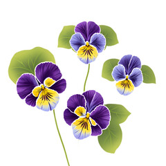 flowers isolated on transparent - Pansies flowers on transparent background - Purple flowers - Generative AI
