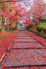 Fototapeta na wymiar 京都　毘沙門堂の紅葉 