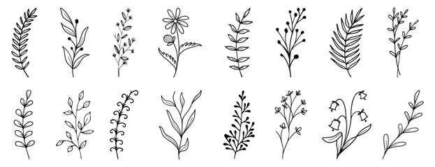 Decorative floral branch collection. Set of floral branch