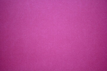 Bright pink background. Blank for the designer. Space for writing. Raspberry texture. Empty space...