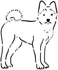 dog line drawing