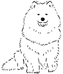dog line drawing