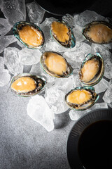 abalone
shellfish
clam
seafood
aquatic products
Abalone dish
fresh
Seaweed