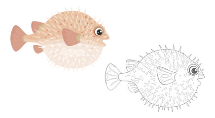 Coloring page outline of cartoon Hedgehog fish. Funny vector ocean coral reef sea animal. Simple flat illustration. Coloring book for children.