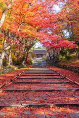 京都　毘沙門堂の紅葉

