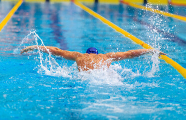 butterfly stroke back man swimmer swimming in pool