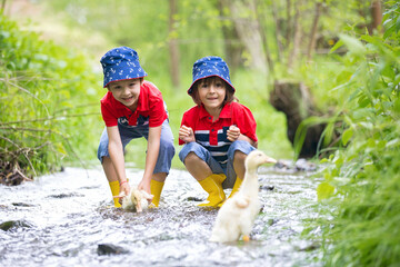 Cute children, boy brothers, playing ducks on a little river
