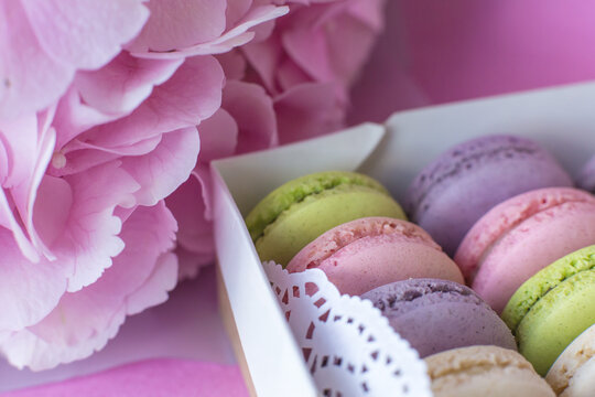 colorful macaroons on pink background