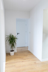 Corridor with brown light panels and white walls. Passageway to another room with a decorative plant. A white door at the end of the corridor.