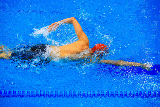 athlete swimmer ront crawl swim in swimming competition