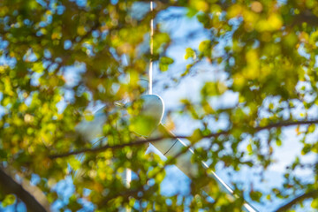 A view of the wind turbine through the foliage of the trees. A background on the theme of ecology.