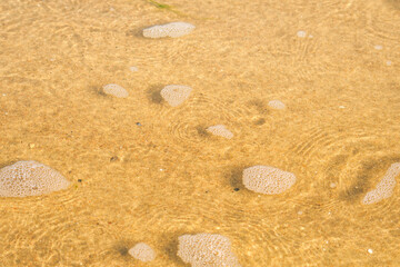 A thin layer of clear water over the sand. A seaside or ecology-themed background with clear sea water over a sandy bottom.