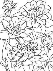 star lotus flower coloring page with pencil line art. Black lines, white background, raster