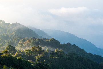 Evergreen forest amid misty clouds when seen from the second highest mountain in Thailand, Doi Pha Hom Pok, Fang, Chiang Mai, Thailand.
