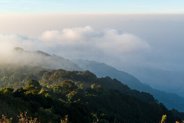 Evergreen forest amid misty clouds when seen from the second highest mountain in Thailand, Doi Pha Hom Pok, Fang, Chiang Mai, Thailand.