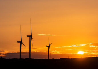 Obraz premium Wind turbines at sunset