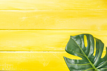 Fototapeta na wymiar Yellow background with monstera leaves