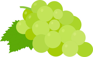 bunch of grapes vector icon