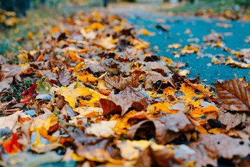 Peaceful scenery in fall