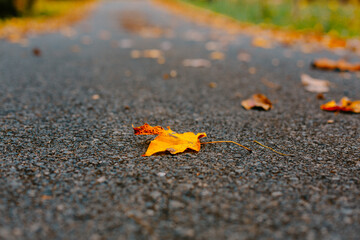 Peaceful scenery in fall