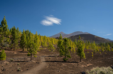 View of the Teide mountain, Tenerife, Canary Islands, Spain. View of Teide with volcanic landscape...