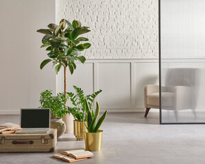 Modern home furniture design, gold vase of plant, retro old baggage and laptop style, white brick and classic wall background frame and armchair.