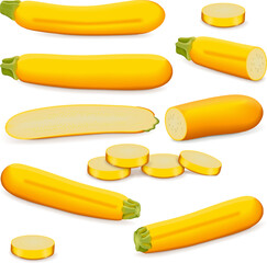 Set with whole, half, quarter and slices of Yellow zucchini or golden zucchini. Courgette or marrow. Summer squash. Cucubits. Fruits and vegetables. Vector illustration isolated on white background.