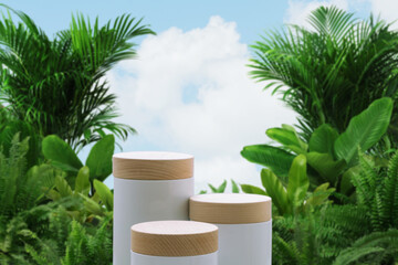 Wood podium tropical forest plant blur cloud blue sky background with space.Organic healthy product present natural placement pedestal display,spring and summer paradise jungle concept.