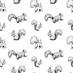 Squirrel illustrations, seamless patten design, hand drawn vector sketch © aksol