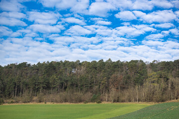 paysage de prairie et forêt en France