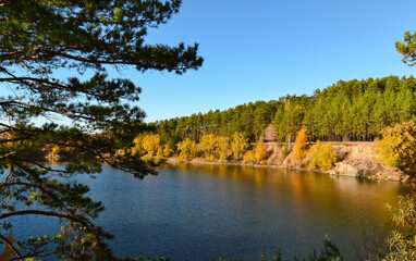 Bright yellow birches and green pines on the shore of a forest lake in autumn
