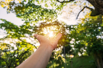 Young man's hand reaching for the sunrise above the trees in the morning