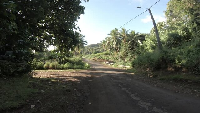 moving forward walking view at a backroad in tropical Pacific Cook Islands where Polynesian culture inhabitants with flourish vegetation and coconut trees along dirt road in neighborhood street light