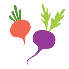 Beet vegetable icon, radish and turnip doodles, vector illustration of healthy local farm vegetables, garden harvest, organic farm market product, isolated colored clipart on white background