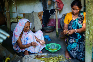 Elderly village women chopping taro stem with hands locally known as kochur loti or arum lobe