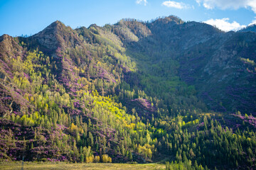 Chuysky tract. View from Mountain road with beautiful views in Altai, Russia. High quality photo